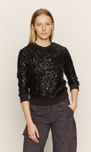 Sanctuary Relaxed Sparkle Popover Top