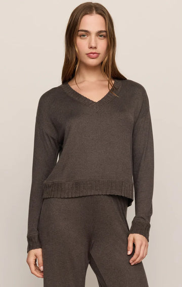 Z Supply Courtney Long Sleeve V-Neck Top in Cocoa Bean