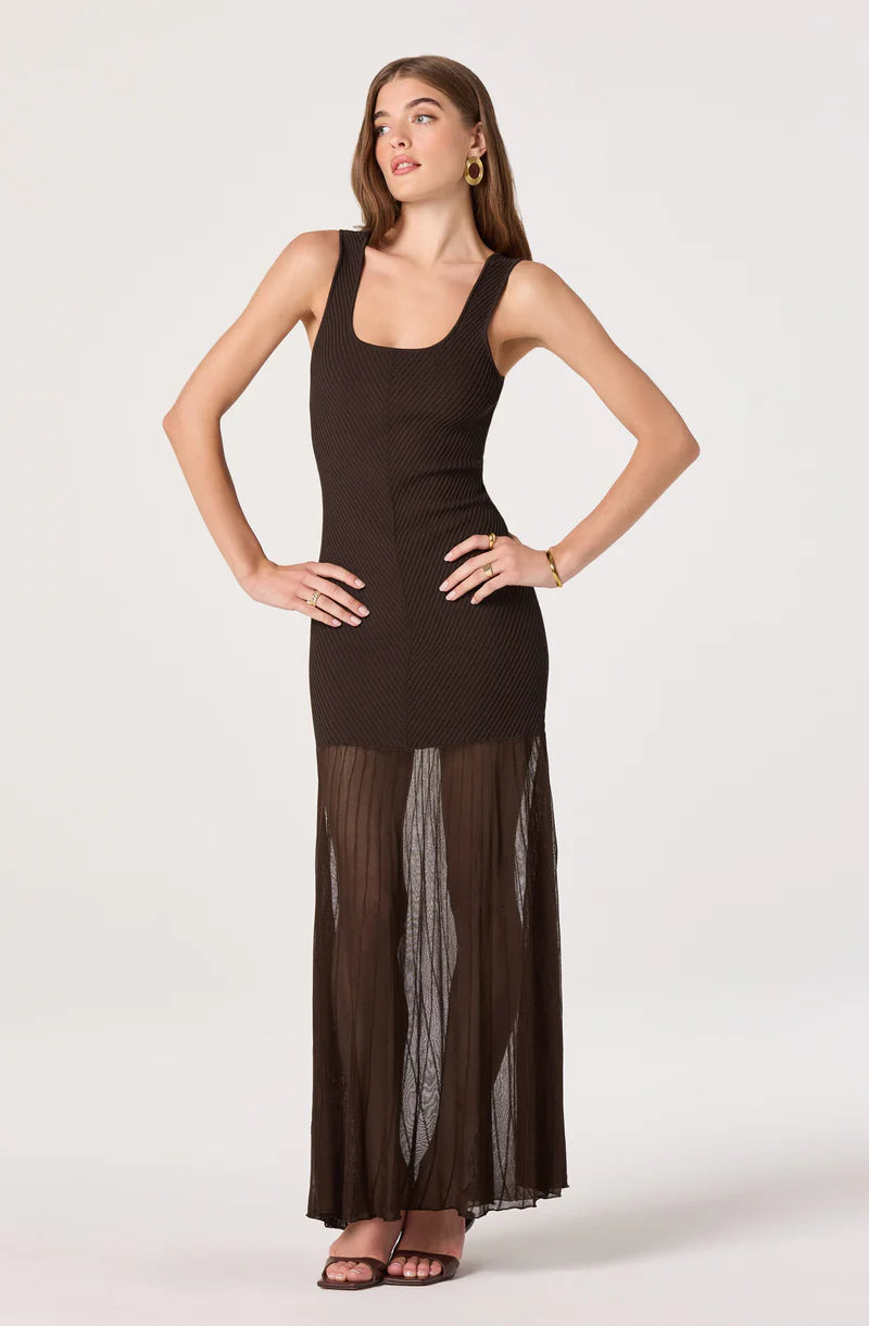 Astr Glena Dress by astr on a model in a black sleeveless dress with a sheer pleated skirt