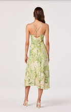 Astr Gaia Burnout Velvet Cowl Midi Dress