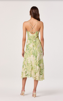 Astr Gaia Burnout Velvet Cowl Midi Dress