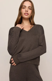 Z Supply Courtney Long Sleeve V-Neck Top in Cocoa Bean