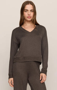 Z Supply Courtney Long Sleeve V-Neck Top in Cocoa Bean