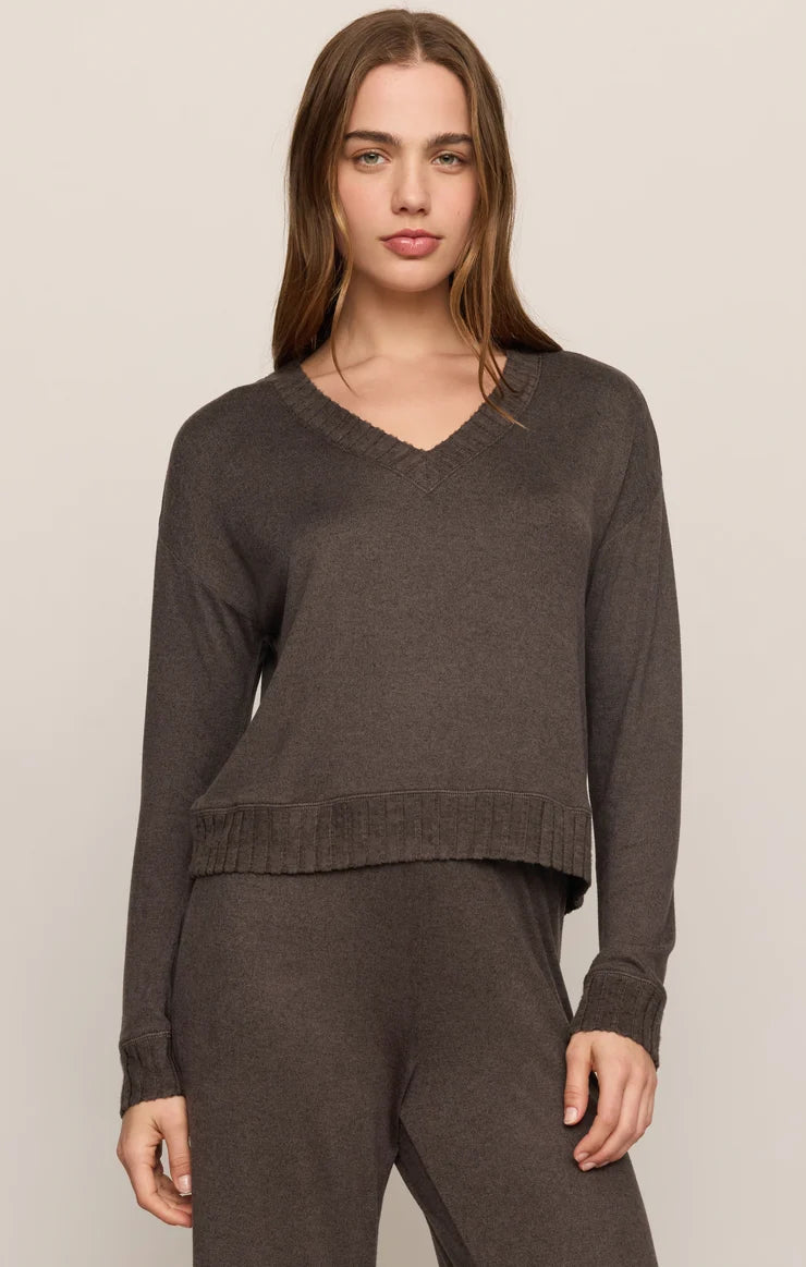 z supply Cocoa Bean Courtney LS Top in cocoa brown with V neck and long sleeves on model