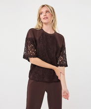 esqualo Cacao Modal Lace Top in brown with sheer lace sleeves modeled by a woman